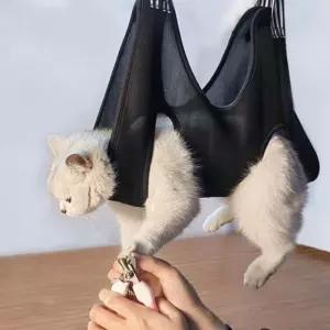 [베스트TOP100] 강아지 미용 발톱 거치대 해먹 (셀프 고양이거치대 )