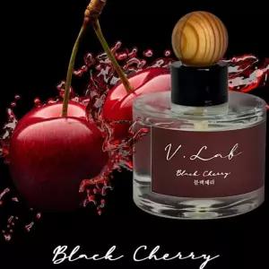 (블랙체리향 차량용디퓨저 1개) 차량용방향제