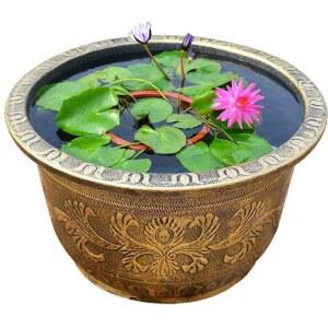 항아리 연꽃항아리 수생식물 패턴 대형 화분 수련 원형 어항