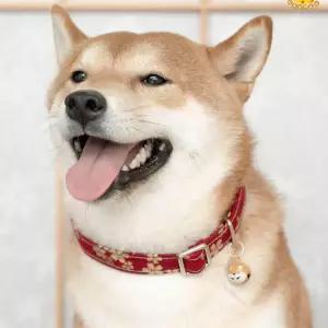 중형견 당초무늬 목줄세트 일본 강아지목줄 시바견