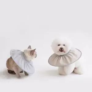 마프랜라떼 강아지넥카라 강아지목보호대 애견넥카라