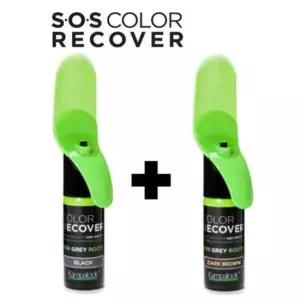 5초 새치커버 스프레이 틴트