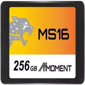 MMOMENT MS16 256GB 2.5인치 SATA III 6GB/s 내장 솔리드 스테이트 드라이브 SSD(최대 550MB/s 읽기) PC