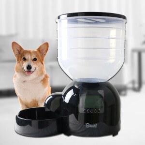 대형견 자동급식기 대용량 11L 냥냥이 자동 원격제어 ch005 물그릇 사료 불필요
