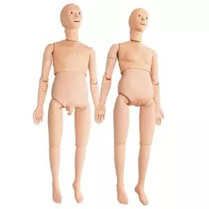 마네킹 인체 교육 모델 교구 전신 모형 더미