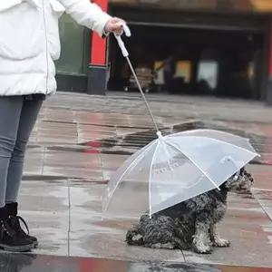 [알티피아]강아지 애견 우산 비오는날 산책 용품 우비 반려견 비올때 비옷