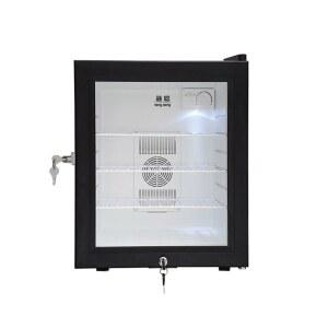 냉장시약장 소형 백신 의 연구실 냉장 냉장고 보관용 자물쇠 보관