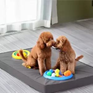 애견매트 8cm 고양이 강아지 반려견 펫 매트 쿠션 방석 매트리스