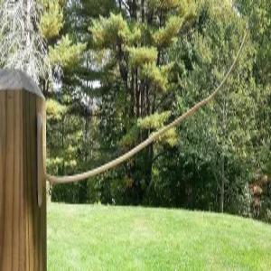 캐나다 웨더스틱