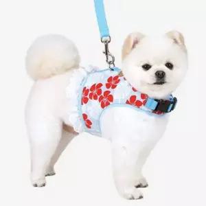 [셀러에이드]강아지 하네스 리드줄 세트 심플 애견 개 가슴줄 블루 강아지리드줄