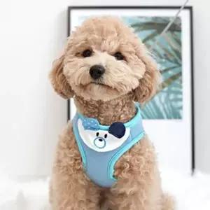 [셀러에이드]강아지 하네스 리드줄 세트 귀염 애견 개 가슴줄 블루 개하네스