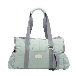 패리스독 강아지이동가방 에브리웨어 패디드백 (민트)