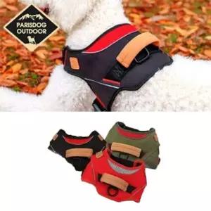 강아지 하네스 대형견 가슴줄 몸통줄 산책 워크 애견하네스