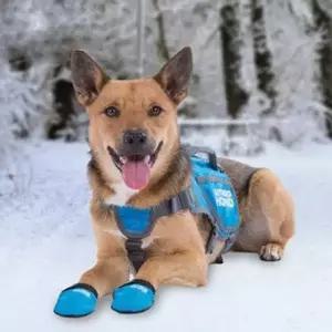 강아지 조끼 XL 보온 애견옷 겨울 산책 외출 하네스 강아지옷