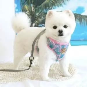 강아지 하네스 리드줄 세트 매쉬 애견 개 가슴줄 핑크