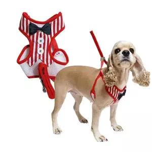 우쭈쭈 강이지 리드줄 하네스 세트 산책줄 스트라이프