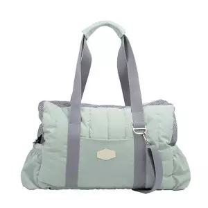 패리스독 강아지이동가방 에브리웨어 패디드백 (민트)
