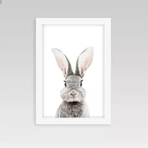 아이방 인테리어 동물액자 토끼B 동물액자 동물포스터 사진액자 동물사진
