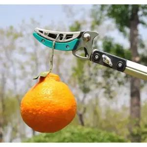 감따는기구 장대 과수원 3섹션 과일 전지가위 3m 원예 감따는