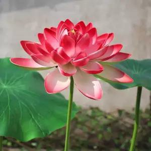 대형 연꽃 조화 식물 줄기 부처님오신날 조경 무대 소품 모형