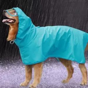 [반려] 강아지 투명 캡모자 우비 9XL 1P 애견 레인코트 비옷