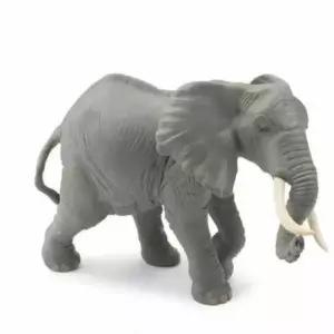 파포 코끼리 코끼리장난감 키덜트장난감