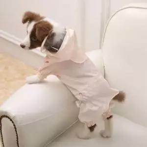 [반려] 반려동물 강아지 우비 비옷 방수 자켓