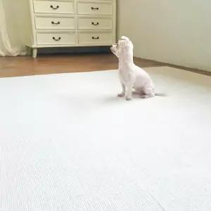 강아지 미끄럼방지 매트 1P 애견 반려견 고양이 펫 거실 복도