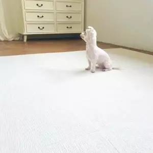 강아지 미끄럼방지 매트 1P 애견 반려견 고양이 펫 거실 복도