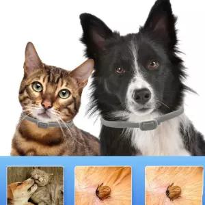 목걸이 65cm 퇴치 강아지 모기 진드기 그레이 AWFHQD1U