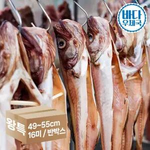 바다우체국 반건조 코다리 49~55cm 왕특대 16미 반박스 식당 업소용 도매