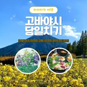 [일본 프라이빗 택시관광] 큐슈 미야자키 고바야시 당일치기 코스(이코마 고원) (당일투어, 일일관광)