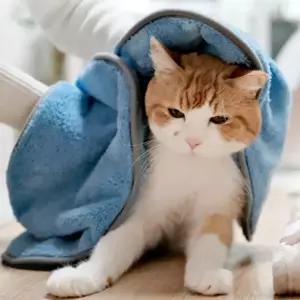 강아지 고양이 목욕 수건 주머니형 펫타올 40x80cm