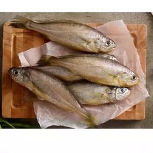 제주 참조기 손질 선물세트 냉동 특대 답례품 명절 설 설날 구정 단체 어르신 선물 국내산