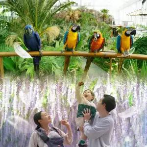 [경기] 가평 베고니아 새정원 커피PKG/동물원/테마파크/가평여행/가족나들이/아이와가볼만한곳/아이와함께