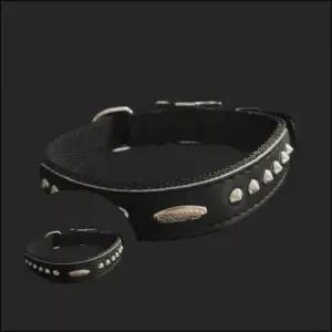 [반려] 강아지 목줄 25mm 60cm 검정 애견목걸이 애견목줄세트 애견목줄