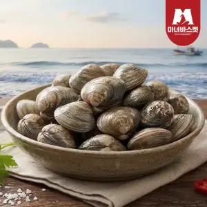 [마녀바스켓] 남해안 통통한 왕바지락(문어바지락) 500g(28미 내외)