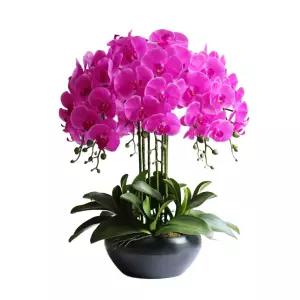 인조 서양란 조화 화분 장식품 카페 개업선물 취임축하 사무실용 탁상화분 자홍빛