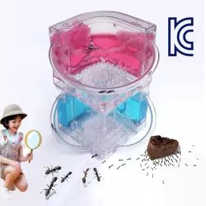 앤트캐슬 개미들의 성지 (KC인증)과학교구 관찰일지 곤충체험 박사 기르기 키우기 학습