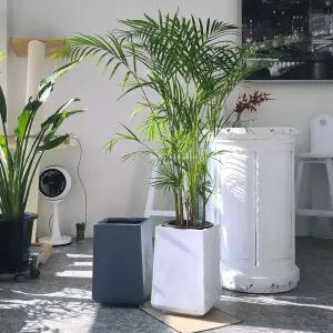 베하몰 마블 화분 스텔라 직사각 25x25x41cm홈가드닝 식물키우기 꽃키우기 원예용 집들이선물 꾸미기 인테