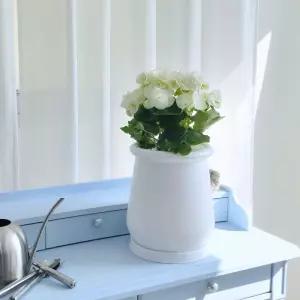 모던 고강도 플라스틱 화분 22x26cm 턱단지 화이트분갈이 홈가드닝 식물키우기 꽃키우기 원예용 집들이선물