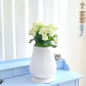 모던 고강도 플라스틱 화분 20x30cm 세로줄 물병분갈이 홈가드닝 식물키우기 꽃키우기 원예용 집들이선물