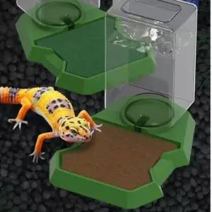 [반려] 파충류 사육장 급수기 물통 물병