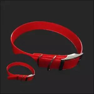 [반려] LED 형광 목걸이 25mm LED반려견목걸이 야간방범펫 중대형견조명