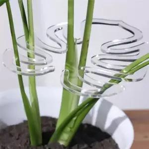 식물 몬스테라 줄기 넝쿨 수형 관리 지지대