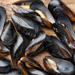 홍합 3kg 손질 바다조개 해산물조개 우리나라 맛있는 통영 세척