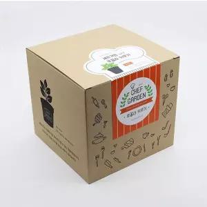 텃밭 화분 DIY 식집사 셰프가든 루꼴라 키우기반려식물 실내 인테리어 키우기 꾸미기 가드닝 재배기 DIY키