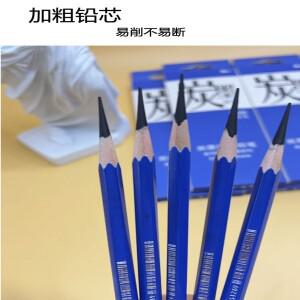 골드 호스 14B 16B 목탄 드로잉 연필 - 학생 및 애호가를 위한 전문가급 미술 용품