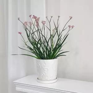 모던 도기 화분 바로크문양 화이트무광 D18x18cm분갈이 홈가드닝 식물키우기 꽃키우기 원예용 집들이선물