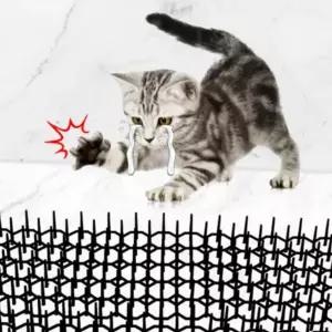 퇴트 고양이 퇴치 매트 기피제 접근금지 비둘기 10개